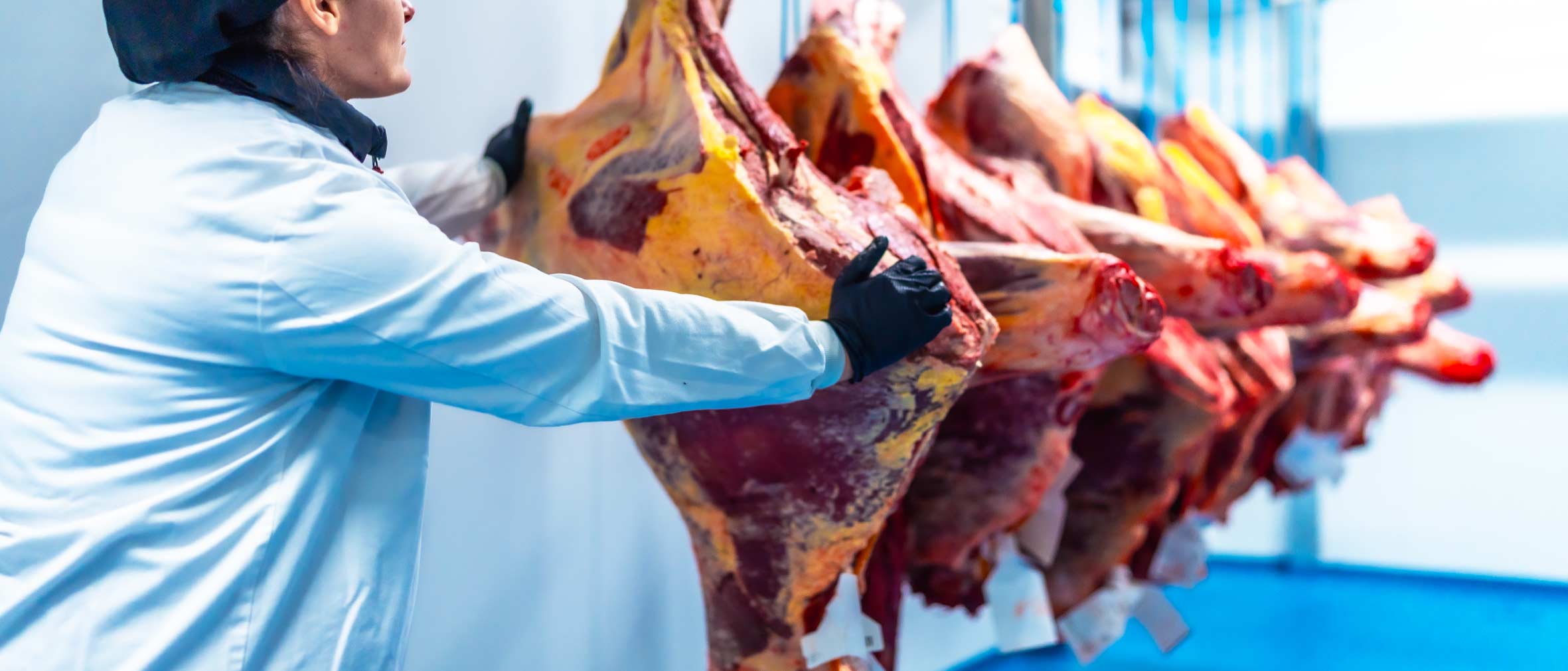 Cleaning solutions for the dairy products industry to maintain cleanliness and safety